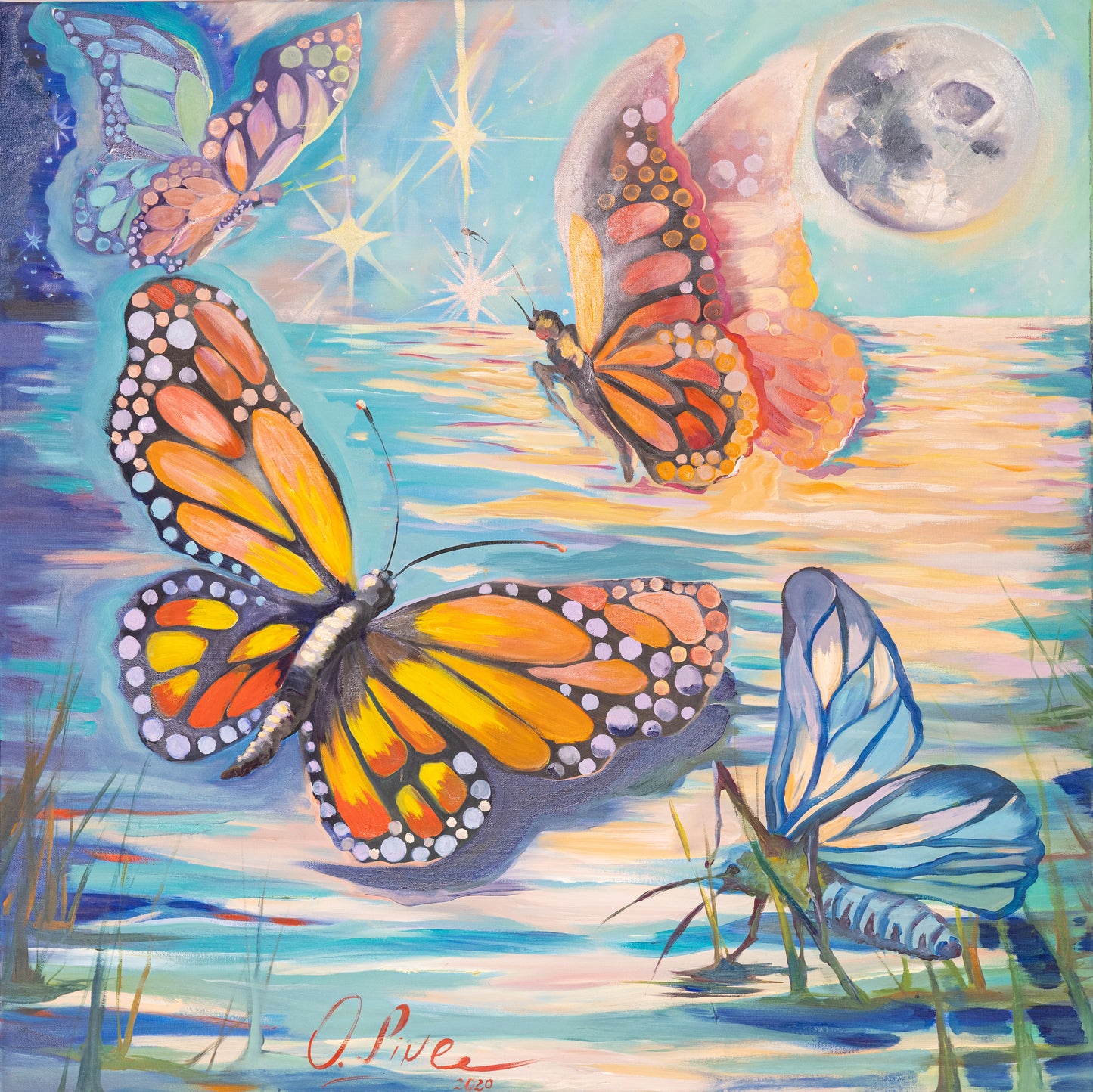 Butterfly Dreams