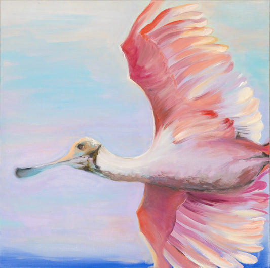 Pink Spoonbill Phil