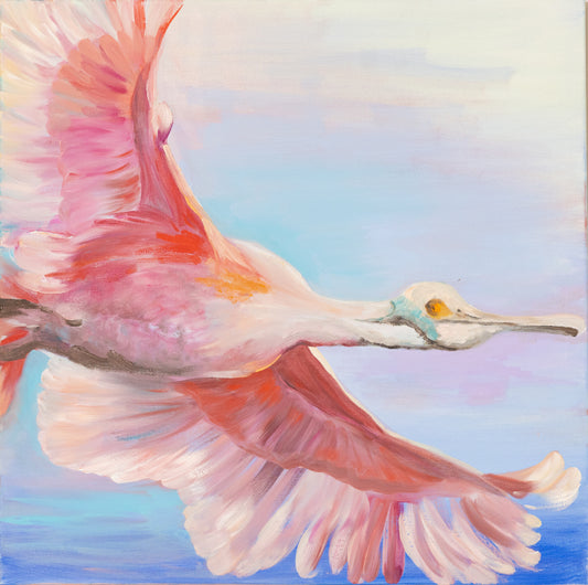 Pink Spoonbill Ralph